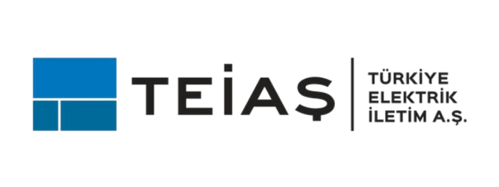 teias-logo-main